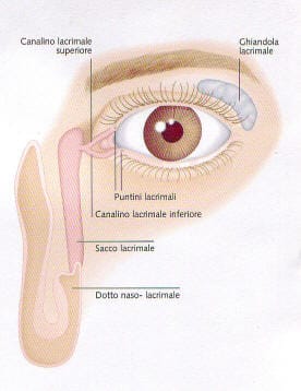 Dotto Lacrimale